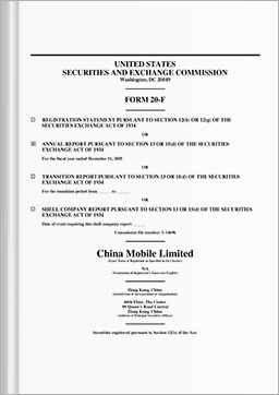 Form 20-f 2005